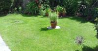Greensleeves Lawn Care image 2
